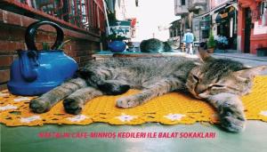 Newly-renovated apartment 3-BR, LR, 2 AC