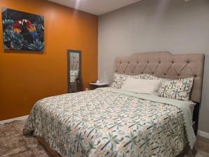 Jungle Oasis By Busch Gardens USF and Amphitheater