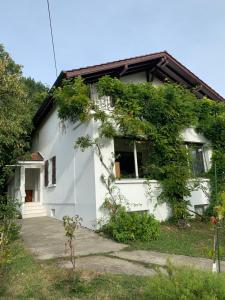 Room in the villa, prive toilets and sink, 7 minutes walking to the airport