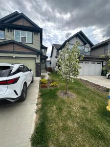 Spacious Two-Bedroom Basement Suite Near West Edmonton Mall