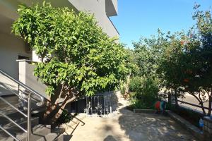 Apartments for families with children Starigrad, Paklenica - 25484