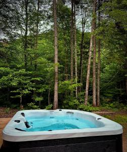Chalet Le St-Ray