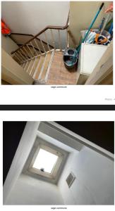 Trapmouse hostel