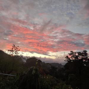 Redwood inn homestay