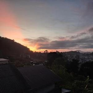 Redwood inn homestay