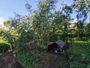 Lombok Glamping