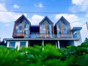 Glamping Dieng New