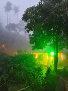 vagamon bike Riders couples stay Rooms