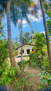 Mangala gust house