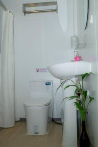 Lotus Apartment