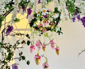 Wisteria