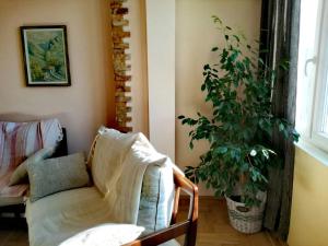 Apartment Durvenitza