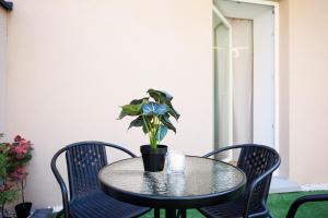Malila Premium Apartments - Kalwaryjska 78