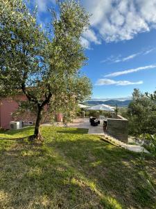 Agriturismo Belfiore