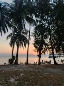 Maya Seaview Chalet, Coral Bay Perhentian Island
