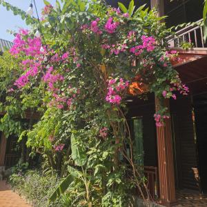 Champa Phan Boutique Hotel