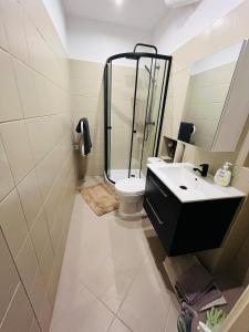 Gliwice Old Town Apartment
