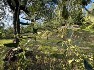 Agriturismo Belfiore