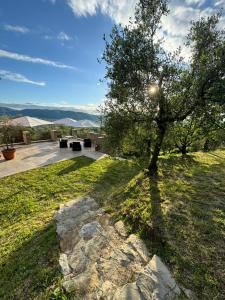Agriturismo Belfiore