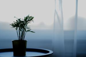 Family & Friends Apartment Free Parking by CityBeat