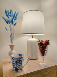 APARTAMENT HAMPTON- centrum miasta, parking w cenie, taras z ogródkiem, pkp i bus 400m