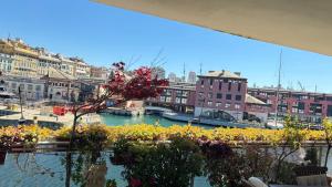 Acquario Genova Suite