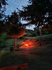 Tara Valley