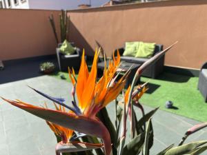 Apartamento Estela