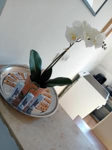 Stellas Monteurwohnungen