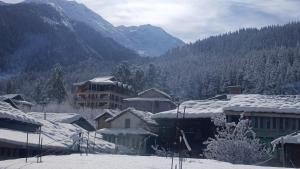 Himalayan bite pulga