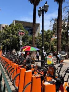 Paris en Santiago, un departamento de lujo