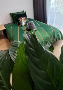 Słoneczny Apartament Poleska