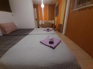 Apartment Simple Center
