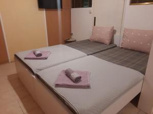 Apartment Simple Center