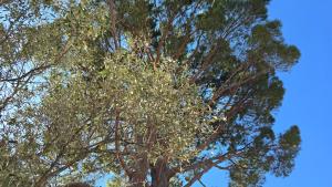 Le MazeL, meublé de tourisme 2 à 4 personnes