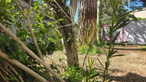 Le MazeL, meublé de tourisme 2 à 4 personnes