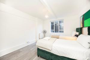 Nice Apartment in Central London