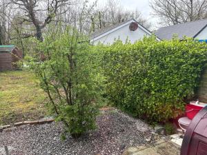 Riverchapel Guesthouse