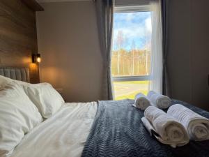 The Sahara - Family Fun Lodge, Swimming Pool, Dog Friendly