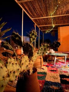 Solara luxury camp