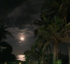 Dragon beach
