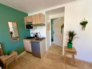 Les Appartements du Mas - Studio Amazonite