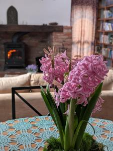 Forreset - leśny reset