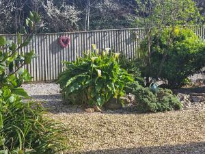 Seas The Day - Paignton, Close to Beach, Excellent Location