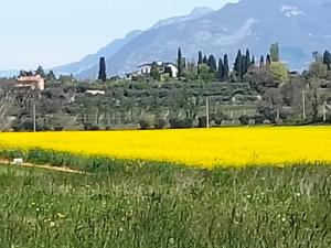 La Meridiana