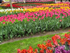 Beachhouse close to sea and dunes