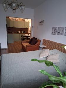 Оазис 1 във Варна