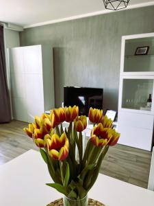 Gdynia City Center Apartment