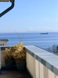 Sassnitz - Penthouse Molenfeuer Mühlenstraße