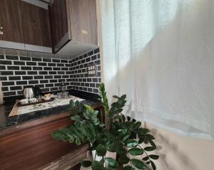 Siang Homestay